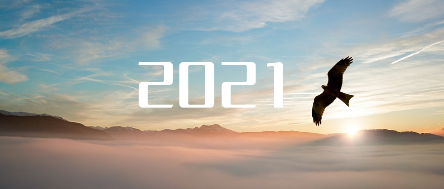 乘“峰”而上，智“盈”未来 ——2021年jiuyou.com九游环境高级资深副总裁新年开工动员